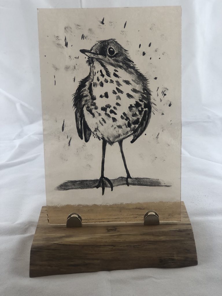 student-painted-glass-bird-thrush-inkwork