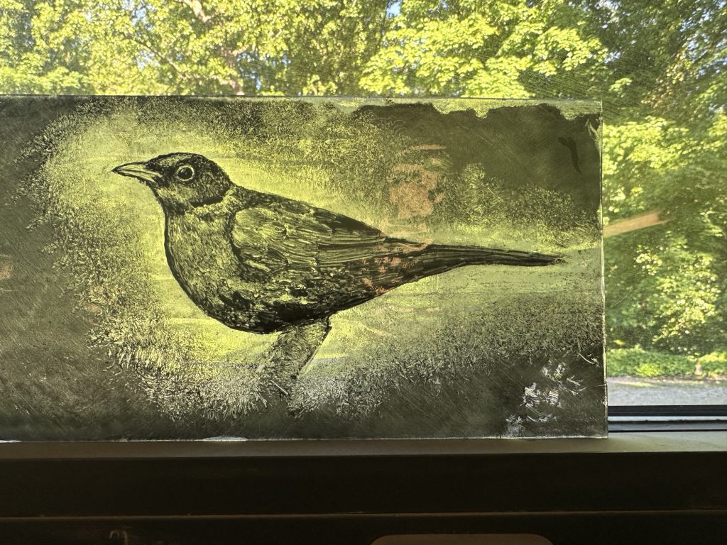 student-painted-glass-blackbird-thrush-yellow-green-2