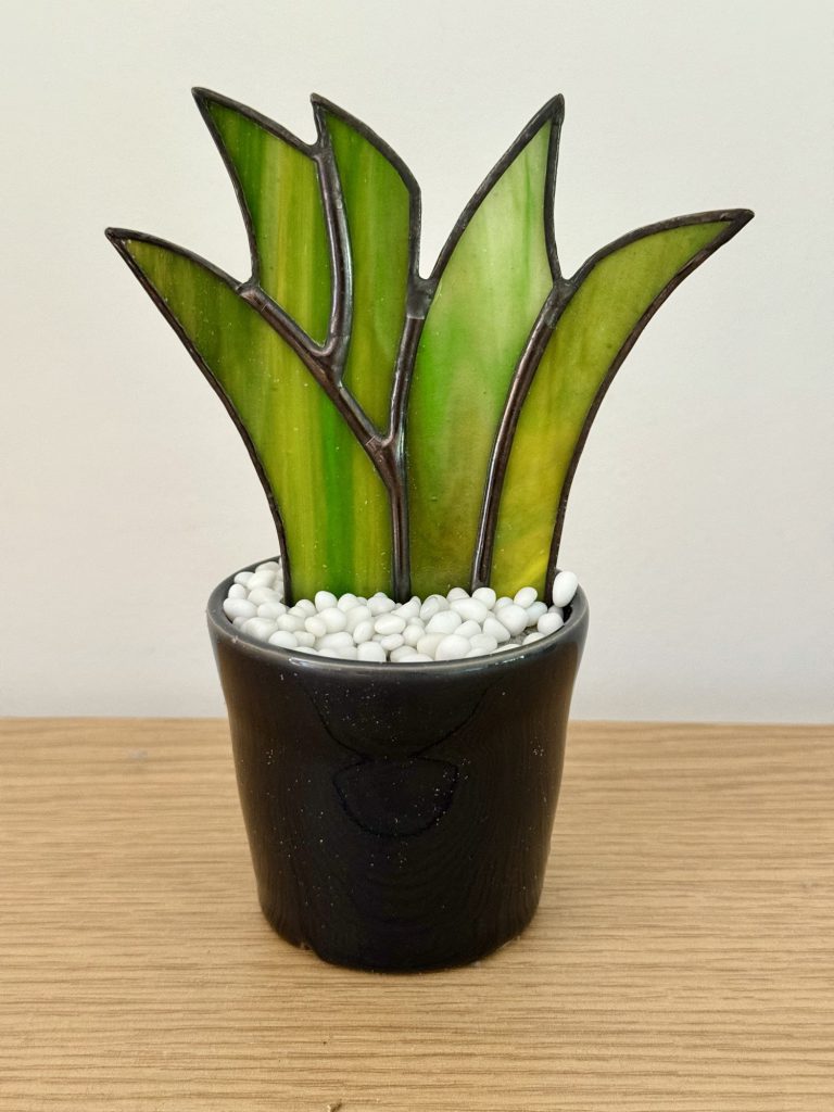 student-stained-glass-cactus-aloe-succulent