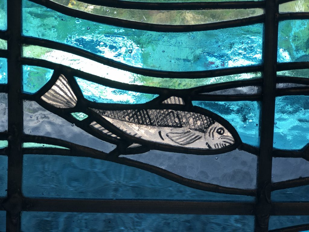 Student stained glass fish swimming teal waves detail