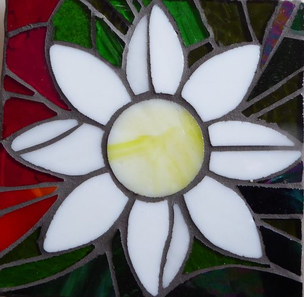 Student mosaic white daisy
